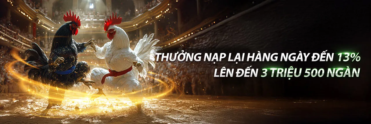 Đá Gà Trực Tiếp U888